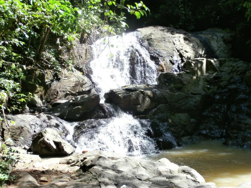 فندق Fiji Palms Phuket المظهر الخارجي الصورة