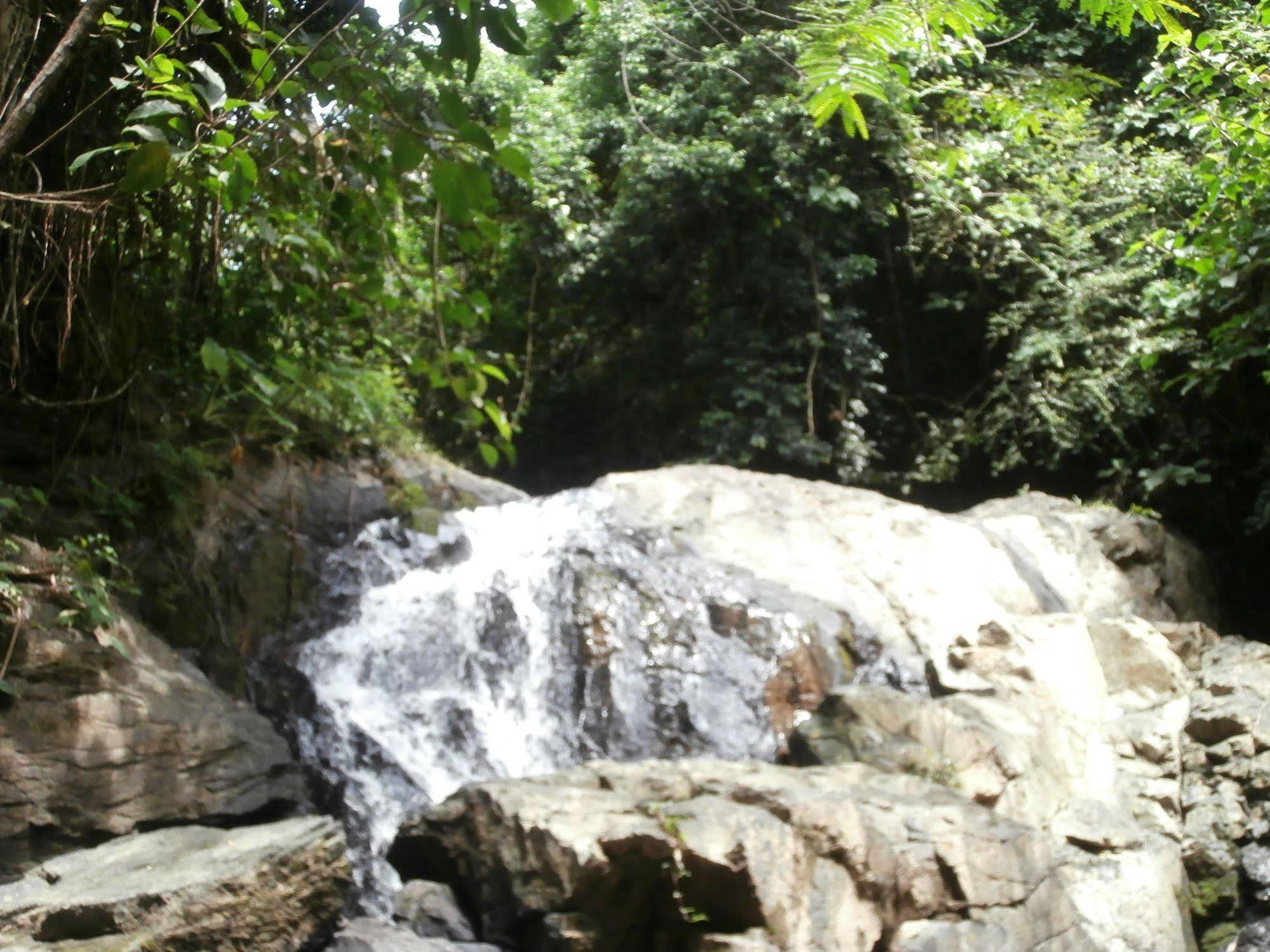 فندق Fiji Palms Phuket المظهر الخارجي الصورة